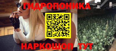 круглые Бийск